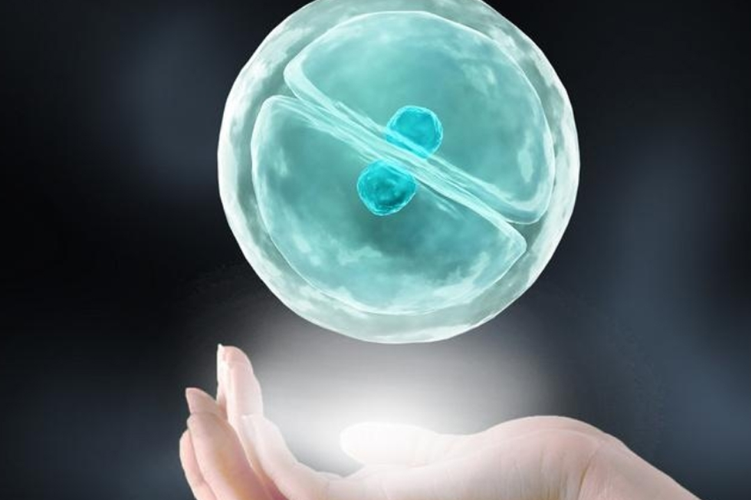 代生宝宝寄生虫感染症状(代生宝宝寄生虫感染症状是什么)（代怀助孕铁蛋白正常范围解析是多少）